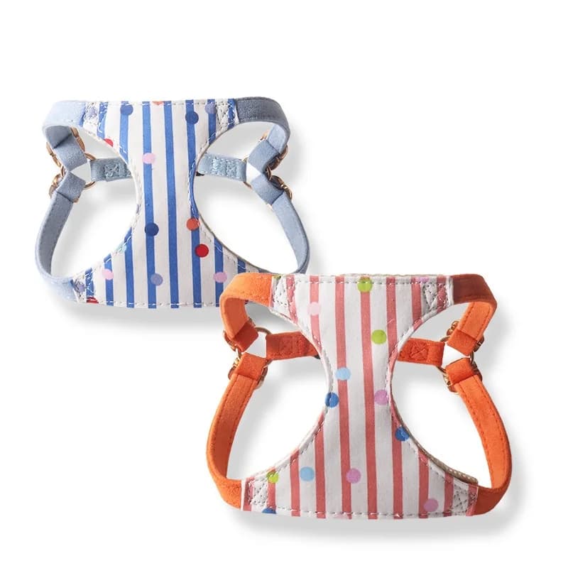 Set Pettorina a Righe e Pois per Cani con Guinzaglio a Doppio Gancio, Pettorina in Cotone per Cani Piccoli, Guinzaglio Multifunzionale per Passeggiate