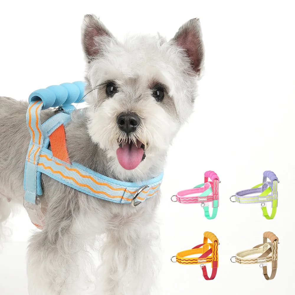 New Fashionable Dog Harness with Padded Handle - Comfortable Lift-Assist Pet Leash Set for Small & Medium Dogs