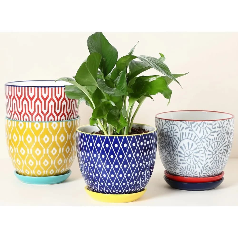 5.6 inch ceramic flower pots with drainage hole and saucer, set of 4 plant florists oily orchid indoor plants decorations for the house