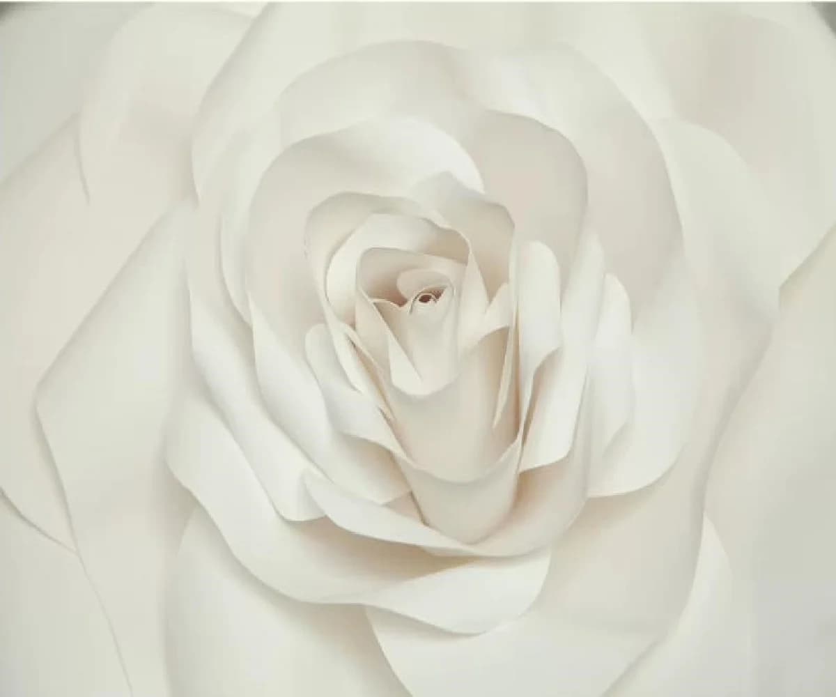 Custom Any Size Mural Wallpaper Modern Pastoral White and pink roses Photo Wall Paper Living Room Rose Peony papel de parede