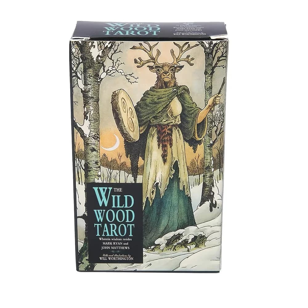 Set di divinazione con 78 carte, gioco da tavolo Oracle in edizione inglese per adulti, carte da gioco a tema per feste con guida, Creative Christ