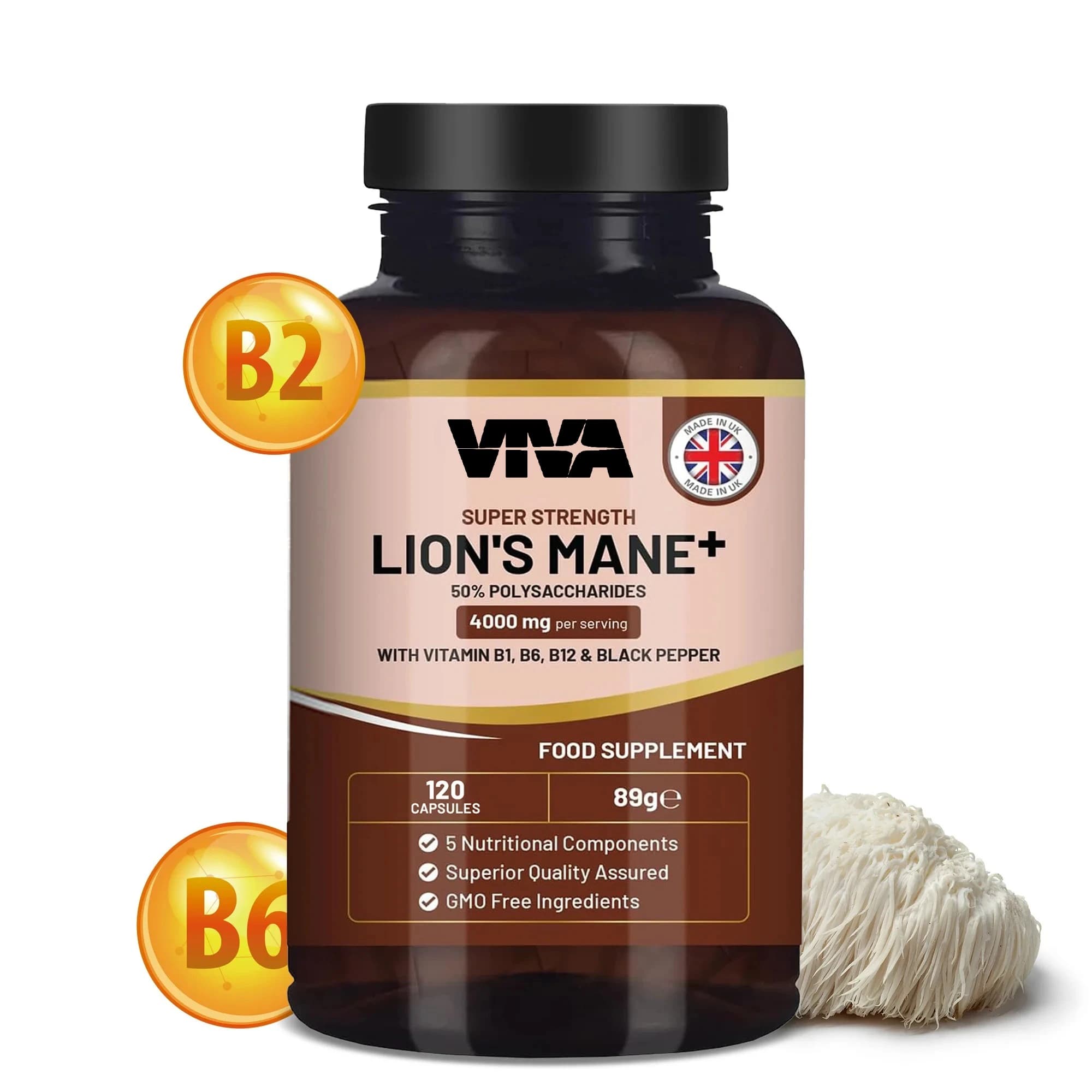 Lions Mane Mushroom Supplement: Improves Memory and Supports Brain Health, Improves Thought, Concentration and Efficiency Work