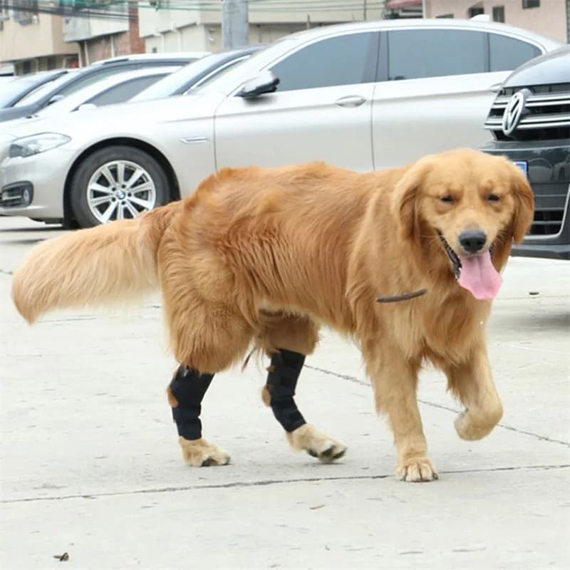 Ginocchiere protettive per gambe per animali domestici per il recupero di lesioni articolari fascia per coscia per cani cintura di supporto regolabile fissazione Post-operatoria