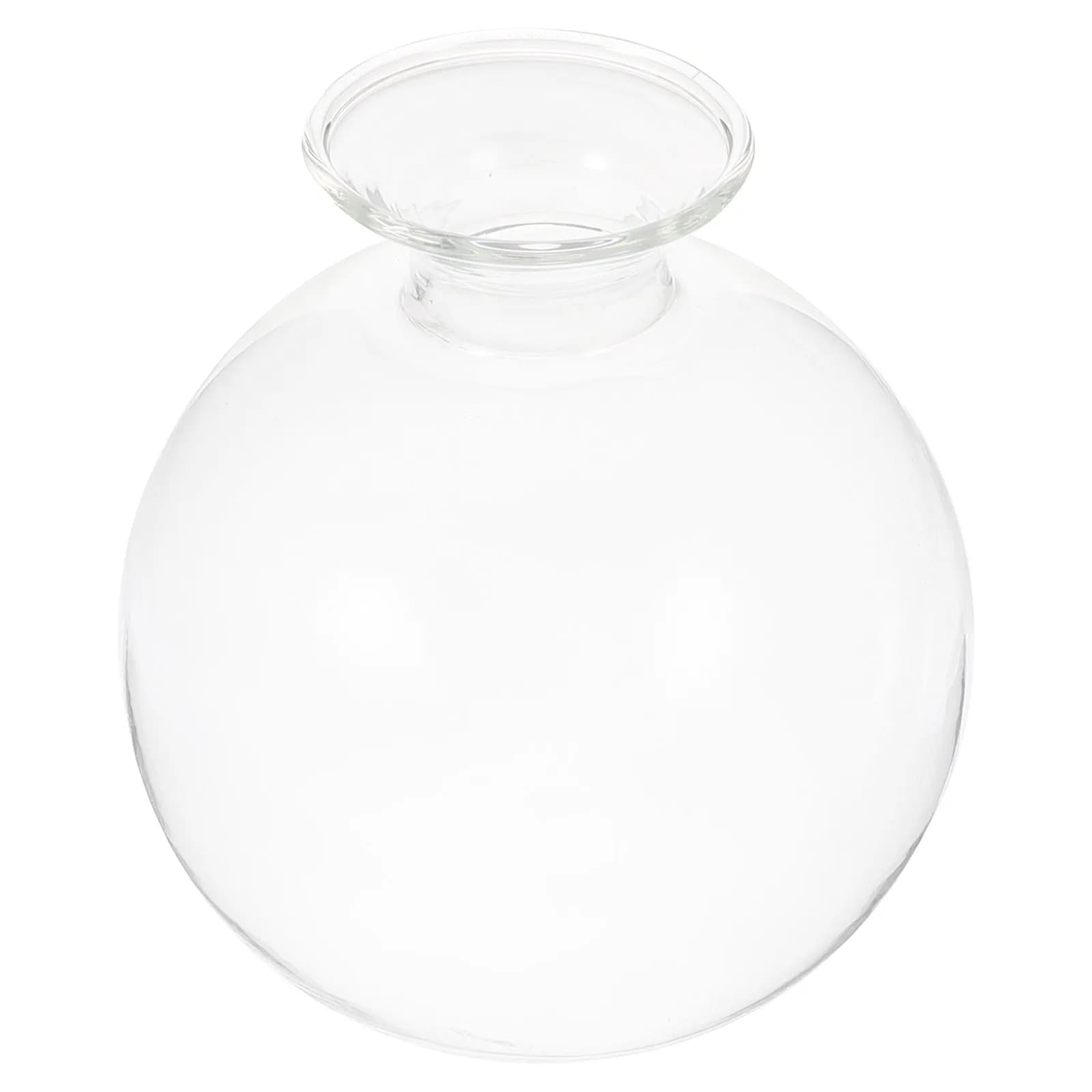 Vaso per Semi di Avocado in Vetro, Contenitore Idroponico Trasparente per Piante, Portafiori Moderno, Vaso per Piante Grasse, Decorazione per Matrimoni
