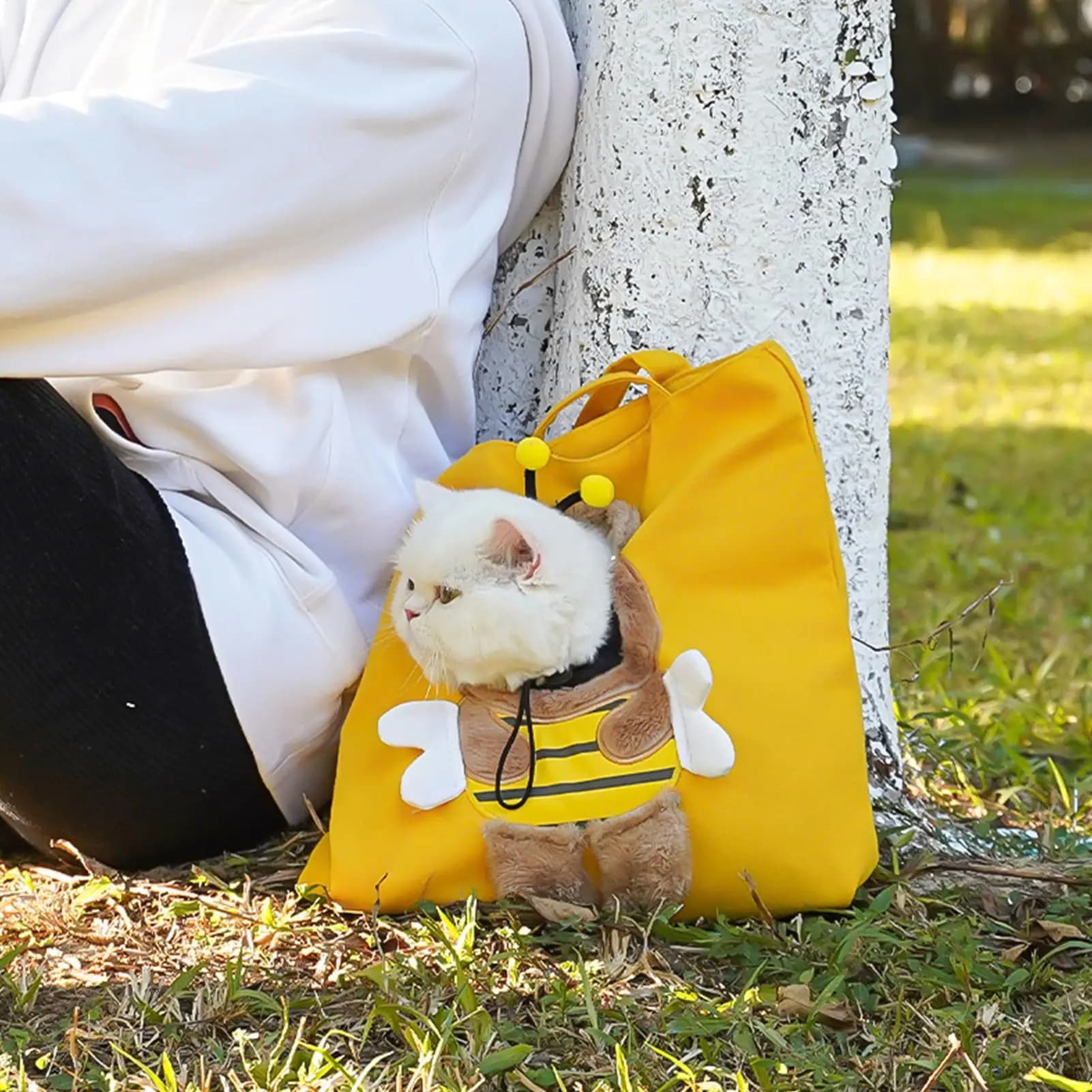 Borsa da trasporto per cani Borsa a tracolla per cartoni animati per animali domestici Borsa a tracolla in uscita per cuccioli per viaggi Escursionismo Aereo Campeggio Interno Inverno