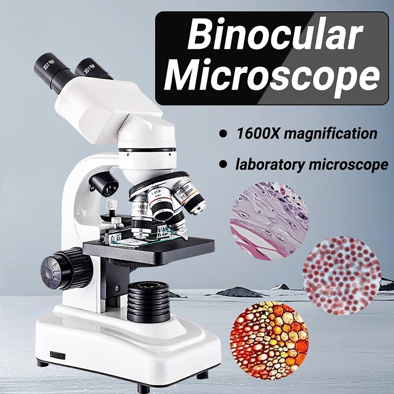 Microscopio Composto per Adulti e Bambini 40X-1600X, Microscopio Binoculare per Laboratorio Scolastico con Tavolini Meccanici, Set di Porta-Obiettivi e Supporto per Telefono