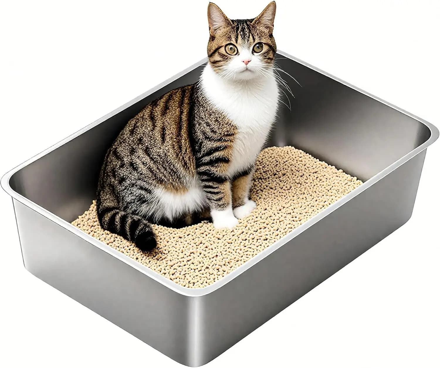 Lettiera per Gatti in Acciaio Inossidabile, Grande Lettiera Metallica, Vassoio XL in Acciaio Inox per Gatti Grandi, 60 cm di Lunghezza x 40 cm di Larghezza