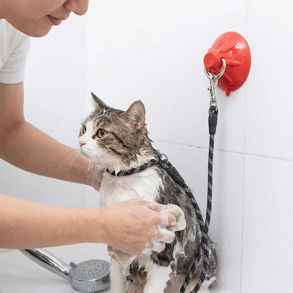 Suction Cup Dog Bathing Tether Anti Movement Adjustable Pet Shower Fixed Collar Comfortable Safety Cat Restraint Straps
