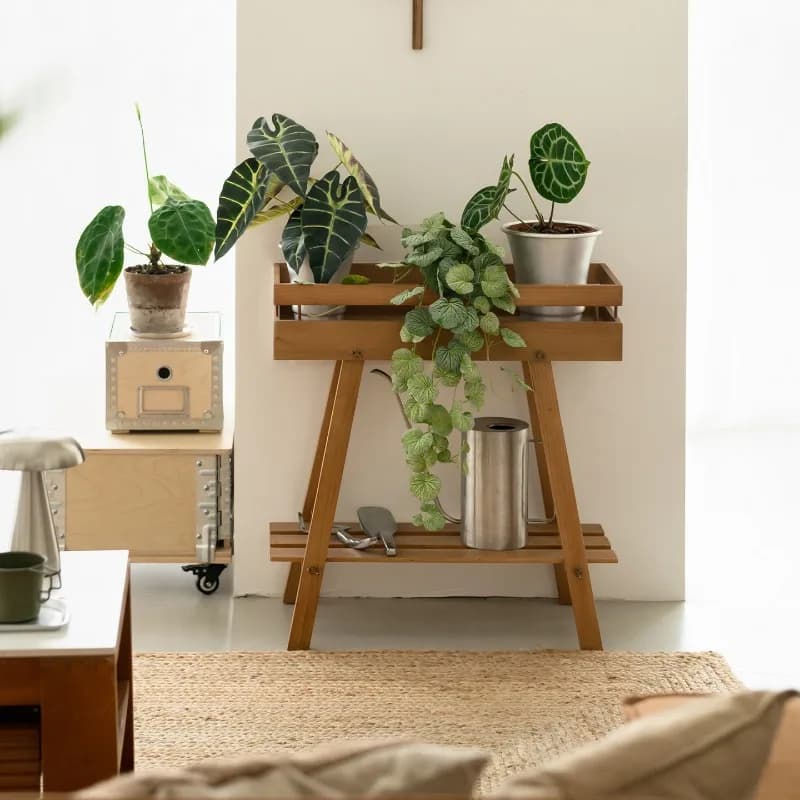 Solid wood flower stand Multi-layer shelf Pastoral wooden flower edge few indoor green plant potted stand