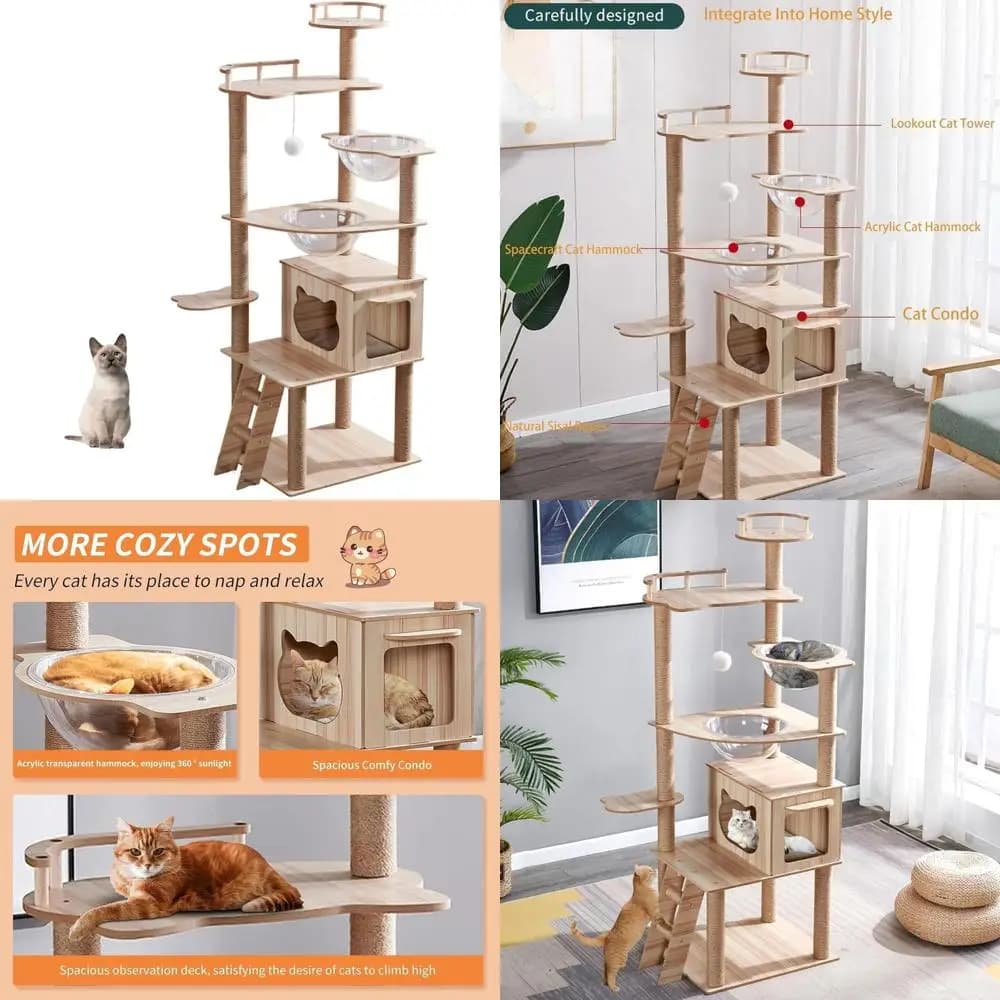 Condo per gatti da interni - Albero per gatti alto in legno 67 con amaca, tiragraffi, cuscinetti rimovibili per gatti di piccola taglia