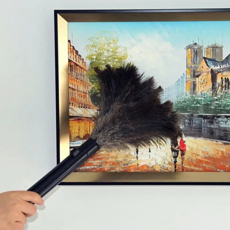 Spolverino per piume di struzzo Spolverino per piume retrattile portatile Spolverino telescopico efficiente per la pulizia dell'auto domestica dell'ufficio dell'hotel