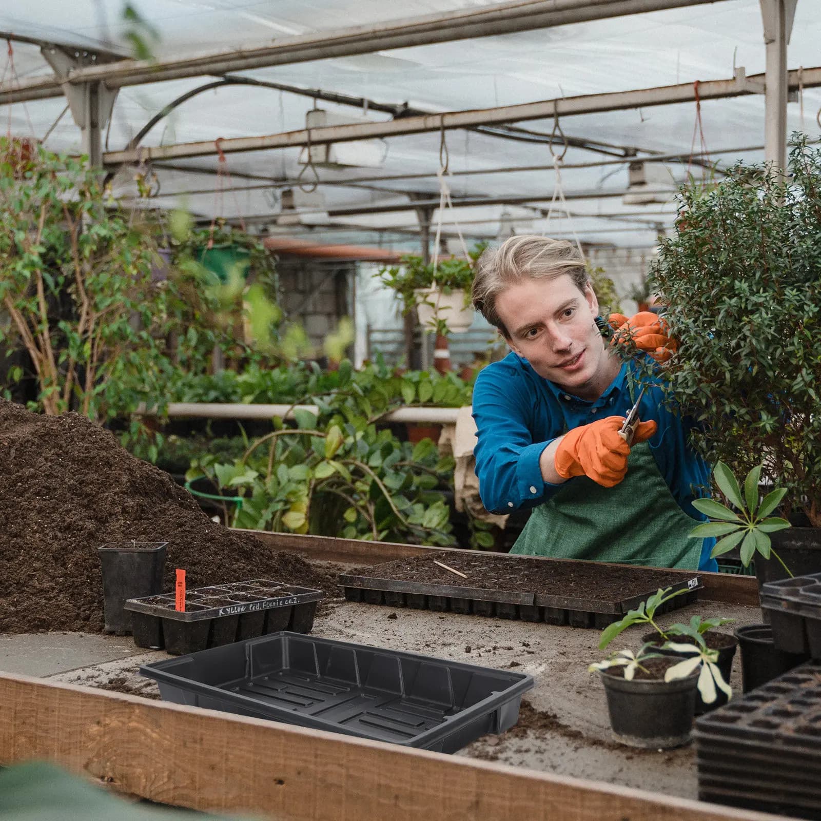 Set di 2 Vassoi per Semina, Contenitore in Plastica per Germinazione con 24 Fori, Accessori da Giardinaggio, Scatola per Crescita di Piante e Fiori