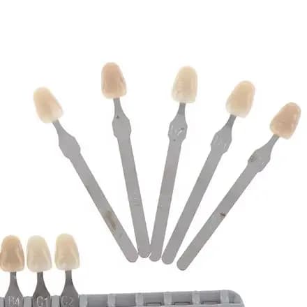 VITA Pan Classical 1 Complete kit for professional dental care