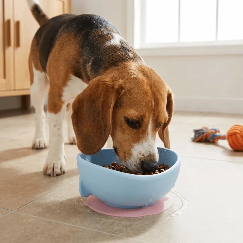 Portable Silicone Suction Cup Pet Bowl Anti-spill Stable Slow Food Bowl Soft Food-grade Pet Food Dispenser For Cats