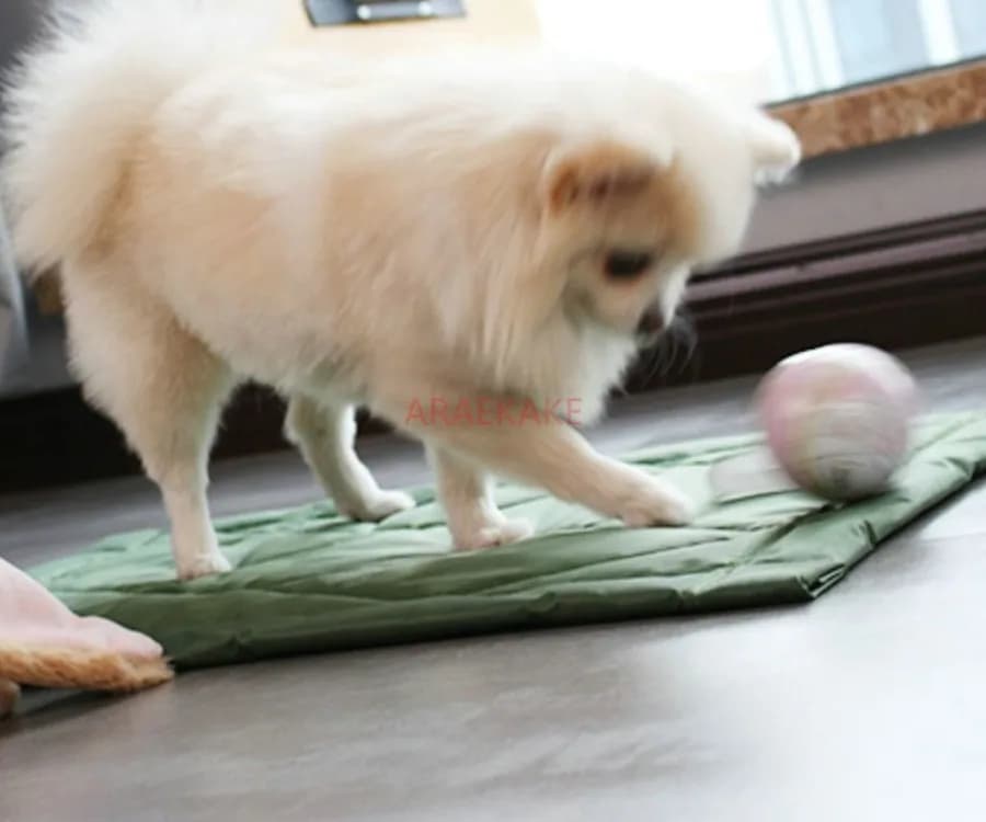 1 pz tappetino per cani, tappetino per animali domestici, nido per dormire, gabbia per cani, gatto specifico, resistente ai morsi, antiaderente ai peli all'interno dell'auto