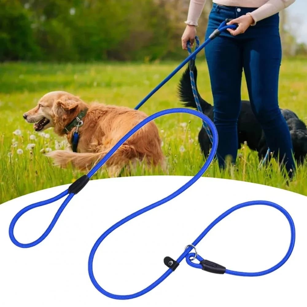 P-Leash Dog Trainer, Material Nylon Resistant, Robust and Comfortable, Anti-Traction Cord for Domestic Animals