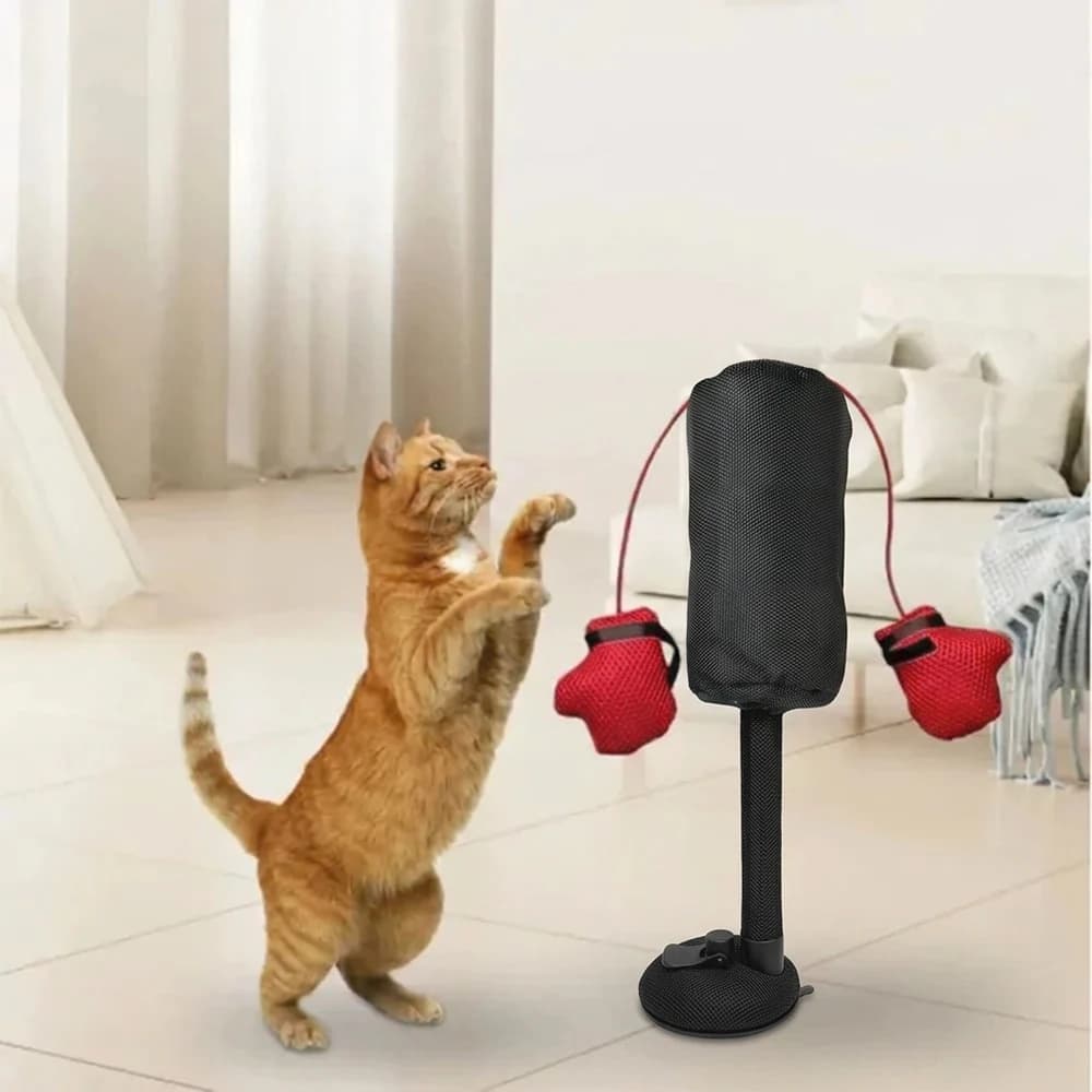 Cartoon Cat Punching Bag Toy with Suction Cup Indoor Kitten Adult Cats Boxing Gloves Pet Supplies Random Color