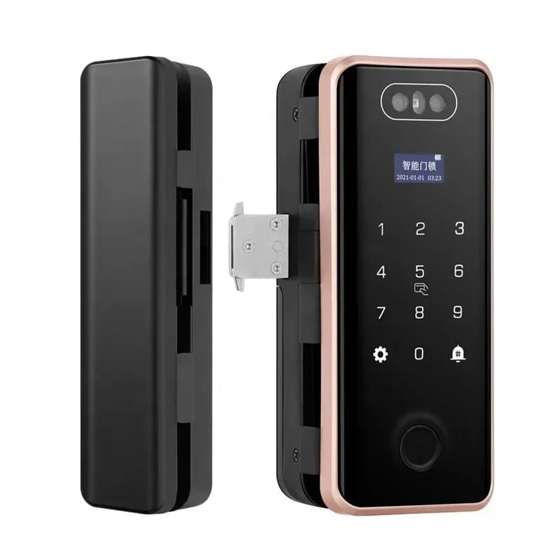 Scheda di blocco digitale senza chiave password impronta digitale TUYA APP serratura intelligente in vetro con riconoscimento facciale 3D intelligente con fotocamera