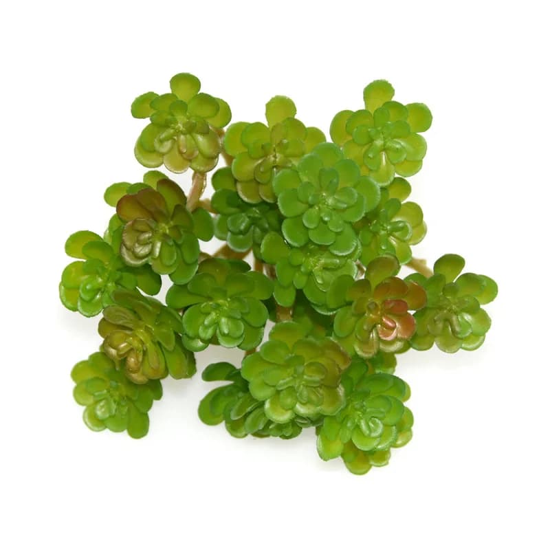 12 Pezzi di Piante Artificiali in Plastica, Piccole Succulente per Decorazioni Floreali Matrimoniali, Piante Verdi Simulate per Decorazioni di Sale, Succulente Grigie