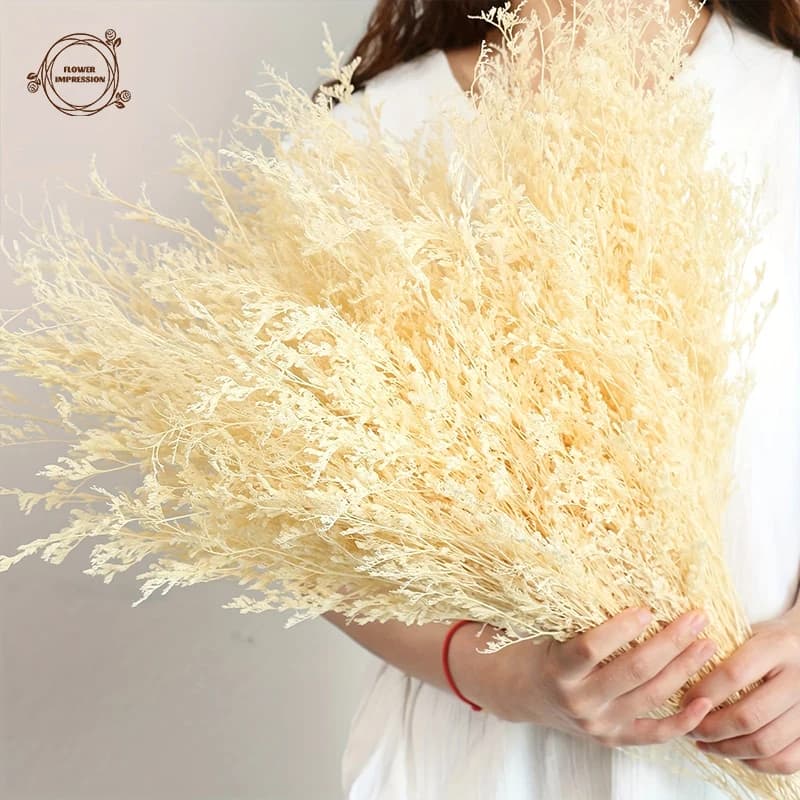 70g Natural Preserved Limonium Dried Flowers Bouquet Wedding Home Rustic Office Garden Decor Valentine Day Gift Artificial Plant