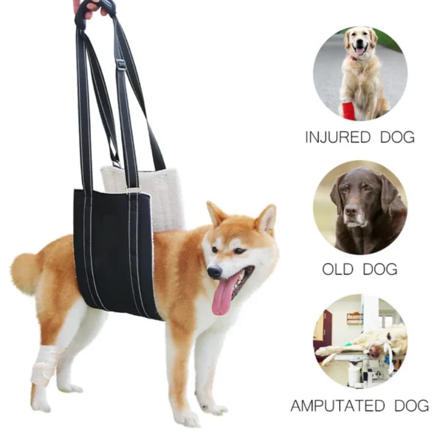 Imbracatura per sollevamento cani Imbracatura per cani regolabile per supporto per gambe posteriori Imbracatura per riabilitazione per gambe posteriori debole Strumento di assistenza per animali domestici per cani anziani