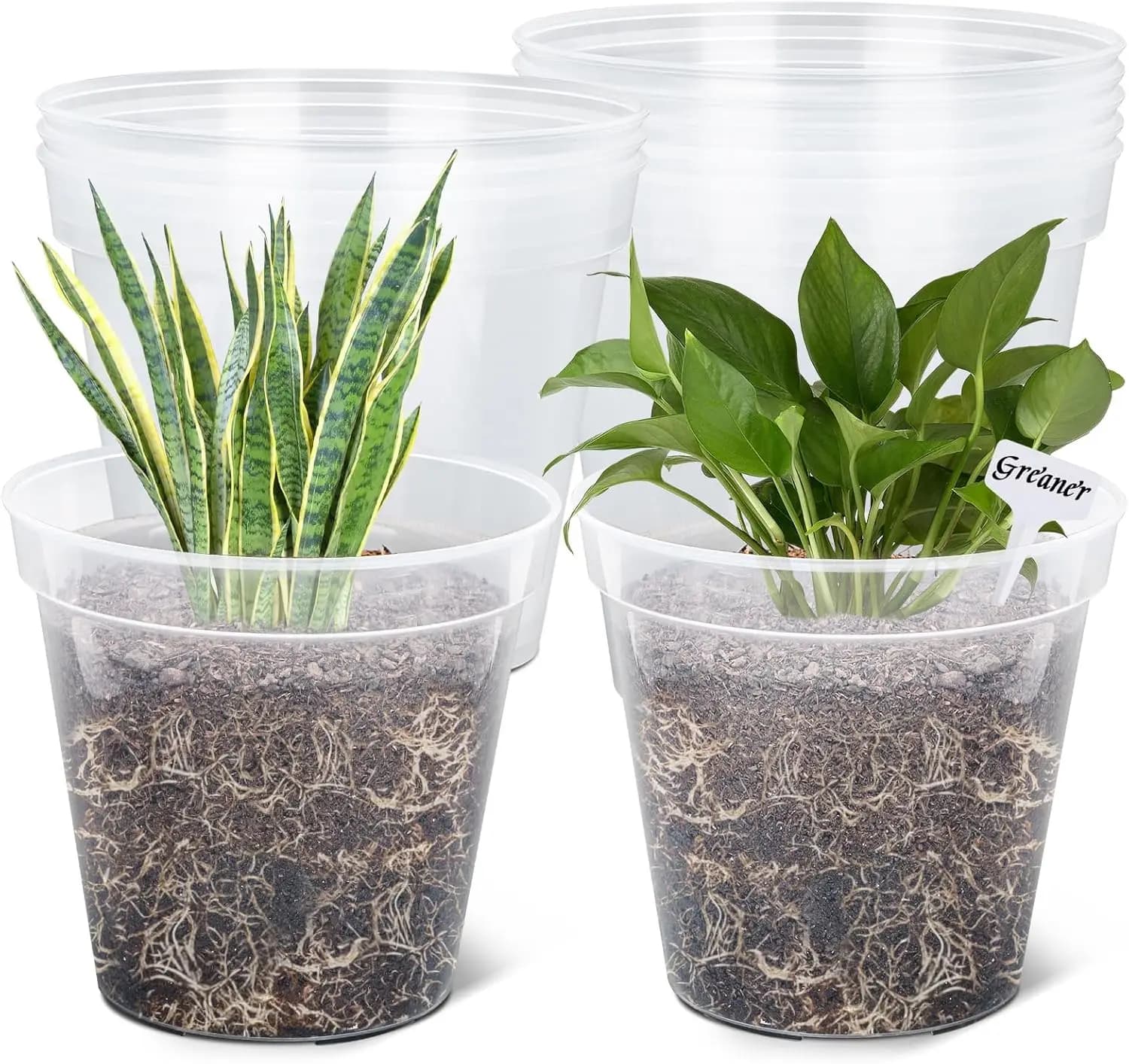 10 inch transparent nursery vases with drainage holes and plant labels, ideal for flowers, seeds, oily plants, vegetables (packing 10)