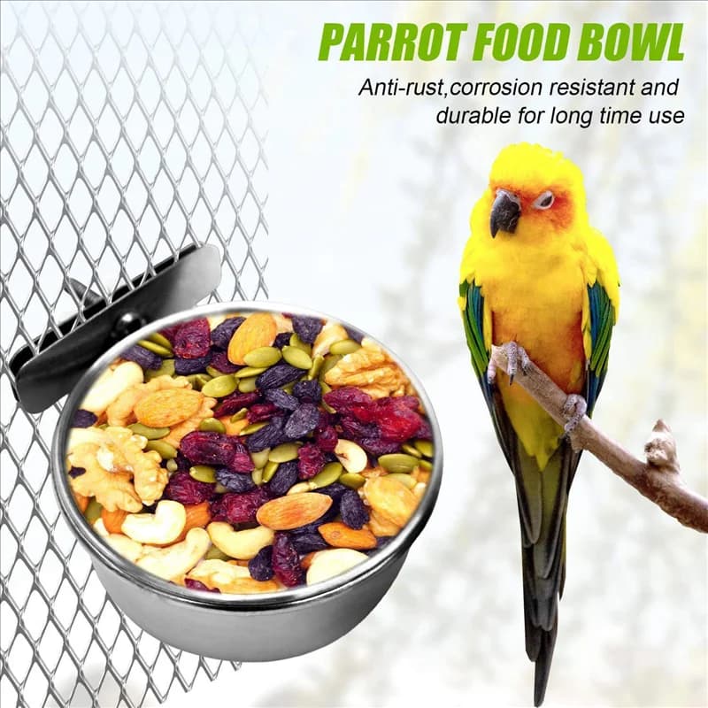 ABEZ 4 Pezzi Tazze per Piatto per Alimentazione per Uccelli in Acciaio Inossidabile, Mangiatoia per Uccelli Ciotole per Acqua per Alimenti per Pappagalli con Morsetto, Portabicchieri per Gabbia per Animali Domestici