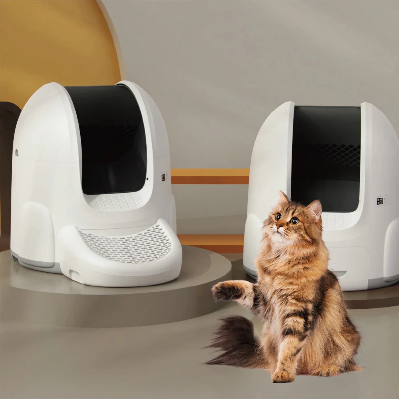 Forniture per animali domestici intelligenti all'ingrosso Lettiera per gatti automatica intelligente personalizzata in fabbrica OEM / ODM Lettiera per gatti intelligente personalizzata all'ingrosso