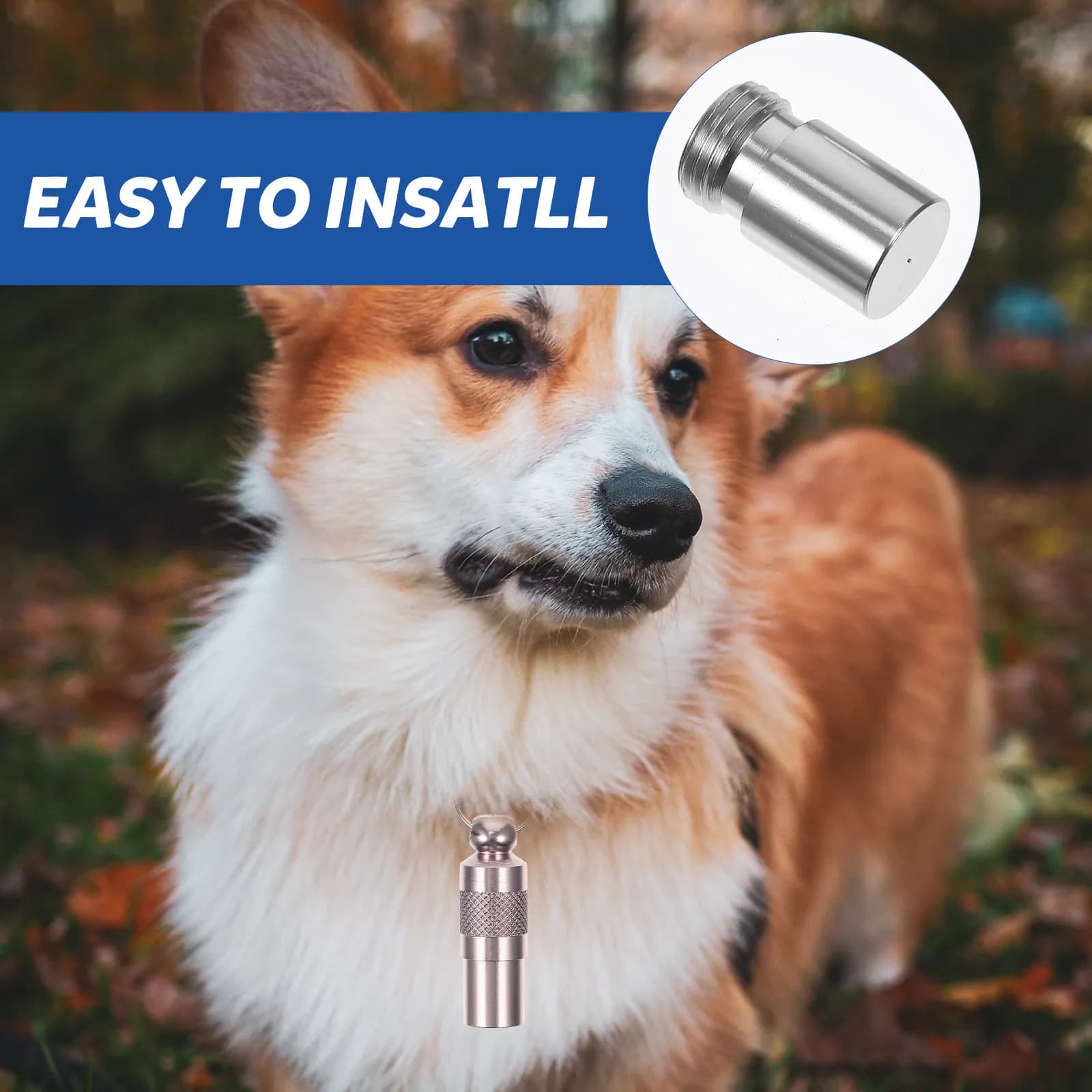 6 Pieces Plates Identifying Anti-theft for Domestic Animals, Lighting in Aluminium, for Dogs and Cats, with Address, Customizable