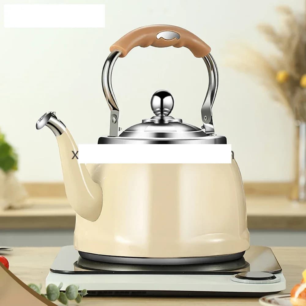 304 stainless steel whistle kettle, 1 gas induction cookeNM61