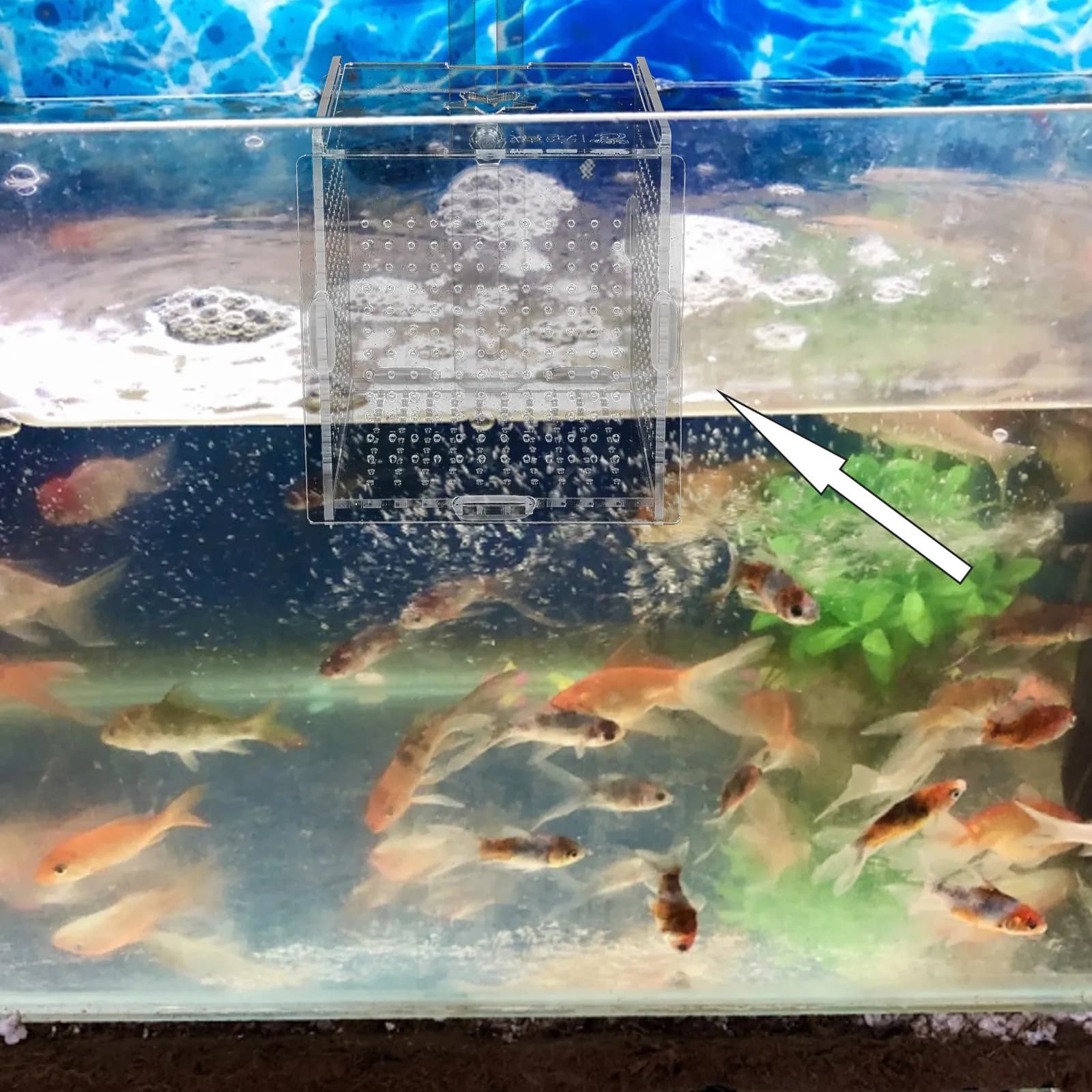 1Set Acrylic Fish Breeding Isolation Box for Aquarium Tank Hatching Incubator with Suction Cup Hook Easy Clean Stable Reliable