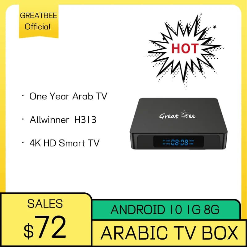 Great Bee Arabic TV Box Allwinner H313 4K Smart TV Set Top Box Lettore multimediale, Greatbee Android 10 Arab Live TV Ricevitore satellitare