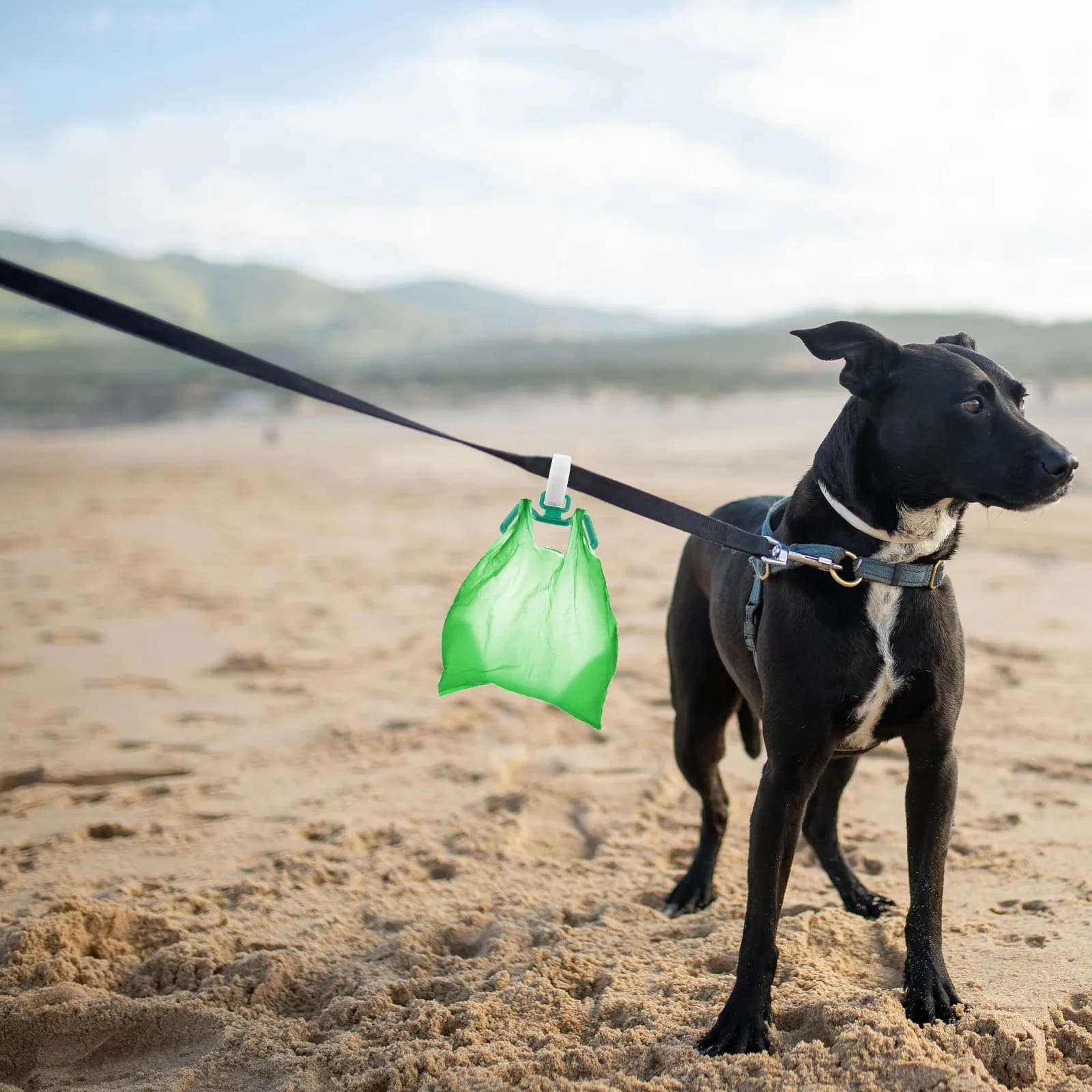 Set di 5 Porta Sacchetti per Escrementi di Cane, Dispenser per Sacchetti Igienici con Clip per Guinzaglio, Contenitore per Sacchetti per Passeggiate e Corsa
