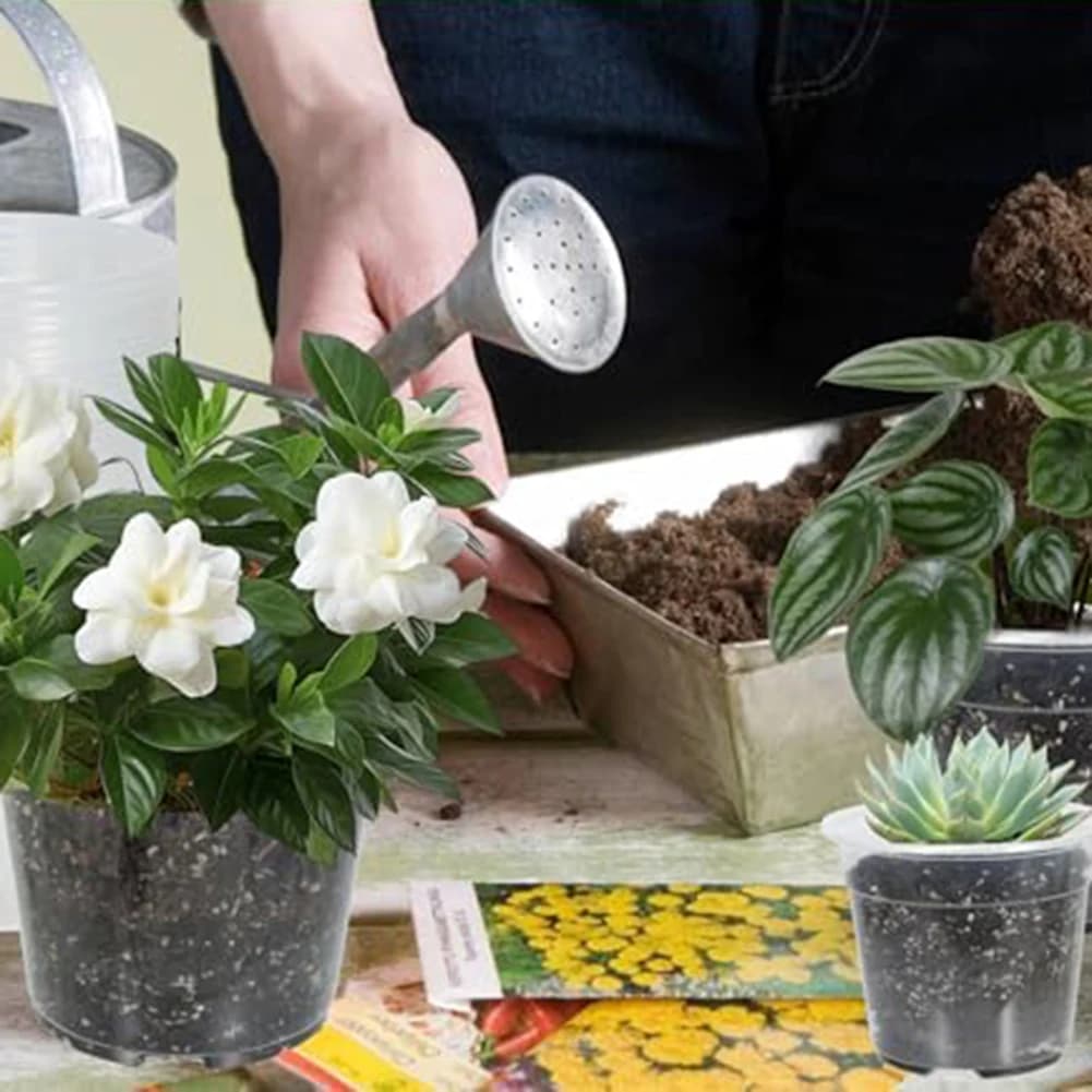 Transparent Plastic Vase Set with Draining Holes, Flexible Design and Versatile for Plants