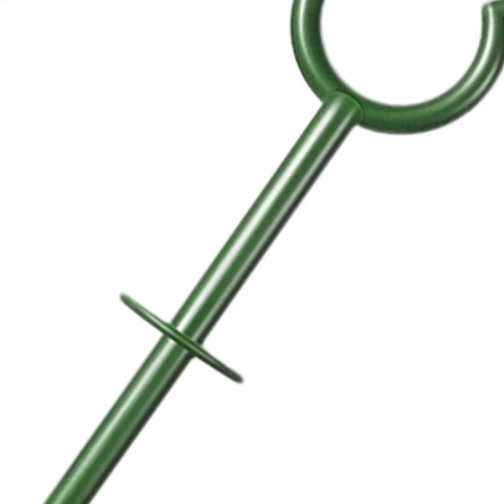 yes10pcs Garden Hose Clip Holder Spike Hose Guide Plant Protection Holder Outdoor Support Spike Plant Protection Irrigation Supp