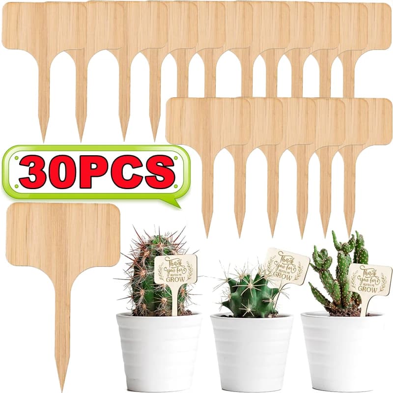 5/10/20/30 Etichette per Piante a T in Legno Ecologico, Targhette Segnapianta da Giardino per Bonsai, Semi, Erbe in Vaso, Fiori e Verdure