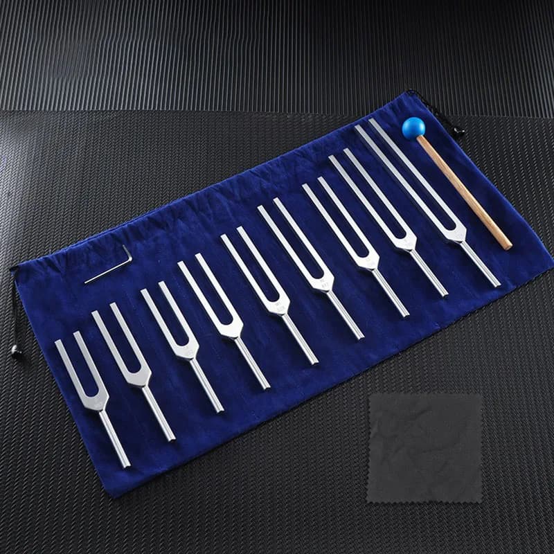 Diapason Chakra Sound therapy Diapason weighted Diapason Accordamenti Diapason Medical instruments percussion Schumann