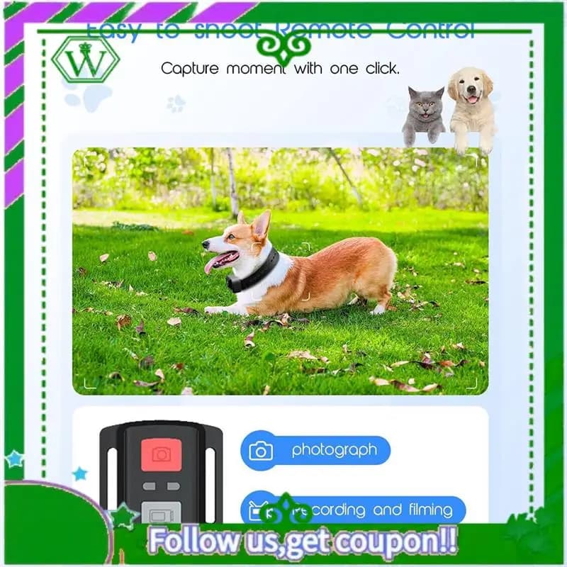 Reliable-4K 30Hz Collar for pets, Mini action room for animals Vlog Camera for video discs Dog collar camera
