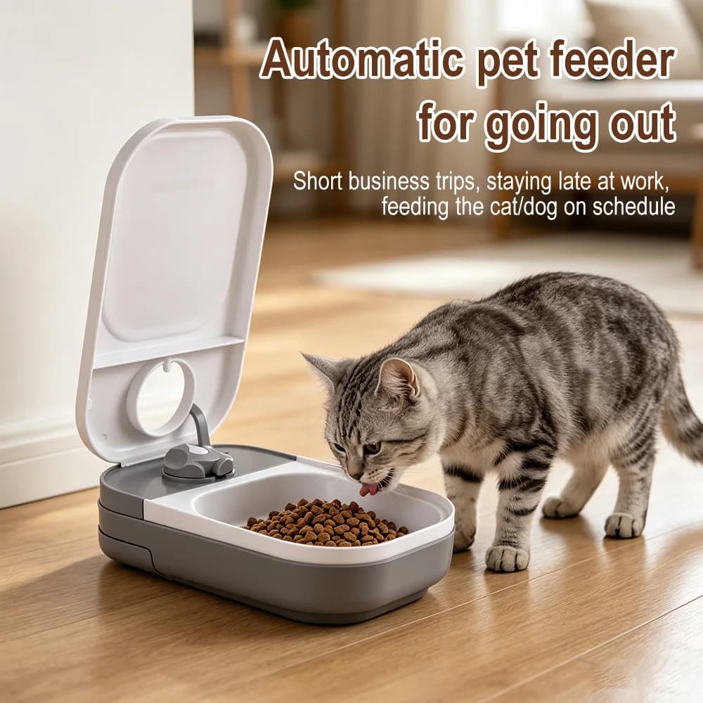 Dog Cat Automatic Feeder Timed Quantification Separate Bowls Food Storage Dispenser Pet Feeder Puppy Kitten Feeder Easy to Clean
