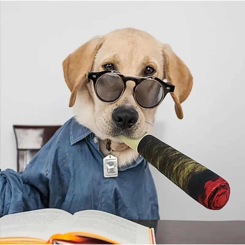 Funny Interactive Cigar Design Plush Dog Toy Squeaky Chew Toy for Teeth Grinding