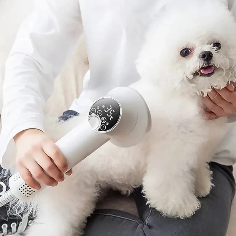Professional Pet Hair Dryer Dog Cat Cat Baby Cock Cold Wind Air Brush Strong Power Special Dryer Dog Supplies Pet Products