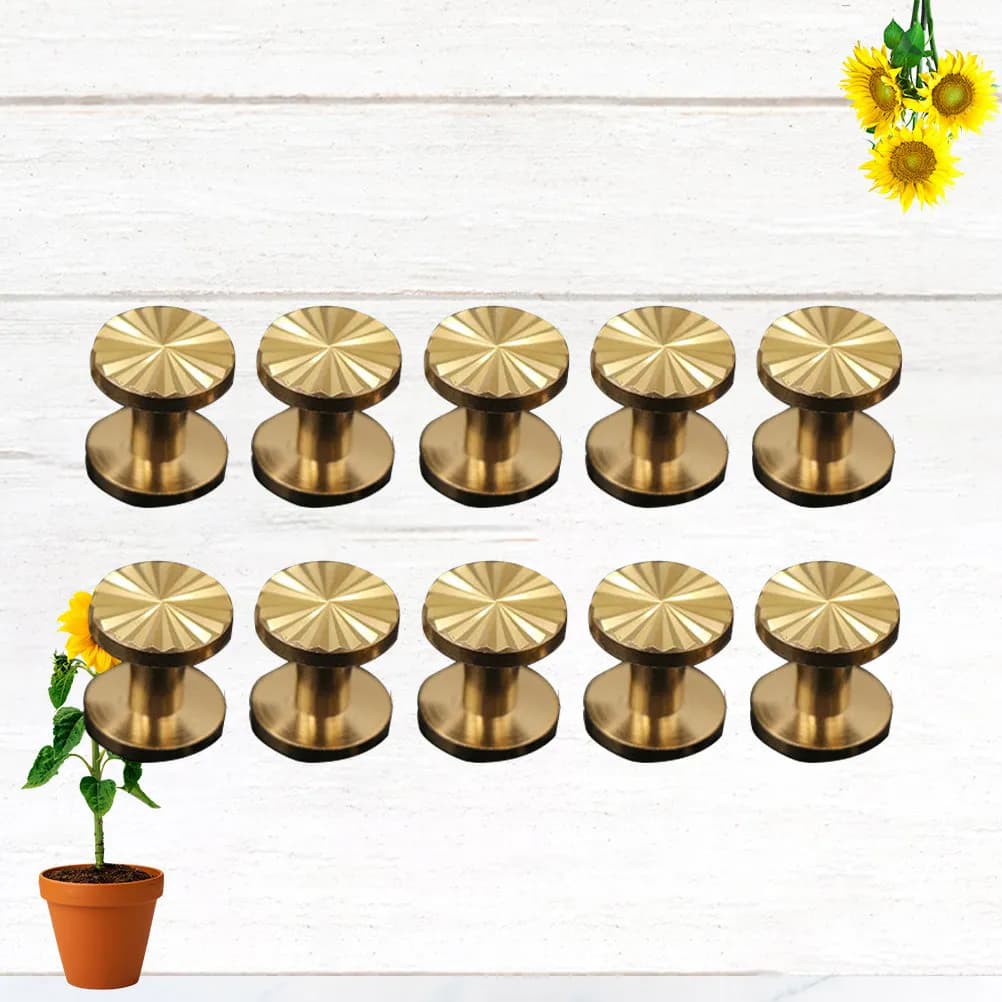 10 Pezzi Viti a Girasole in Ottone Massiccio 10x4x6mm per Artigianato, Rilegatura Libri, Cinghie Bagagli, Rivettatura, Fissaggio Fai-da-te, Resistente, Ecologico