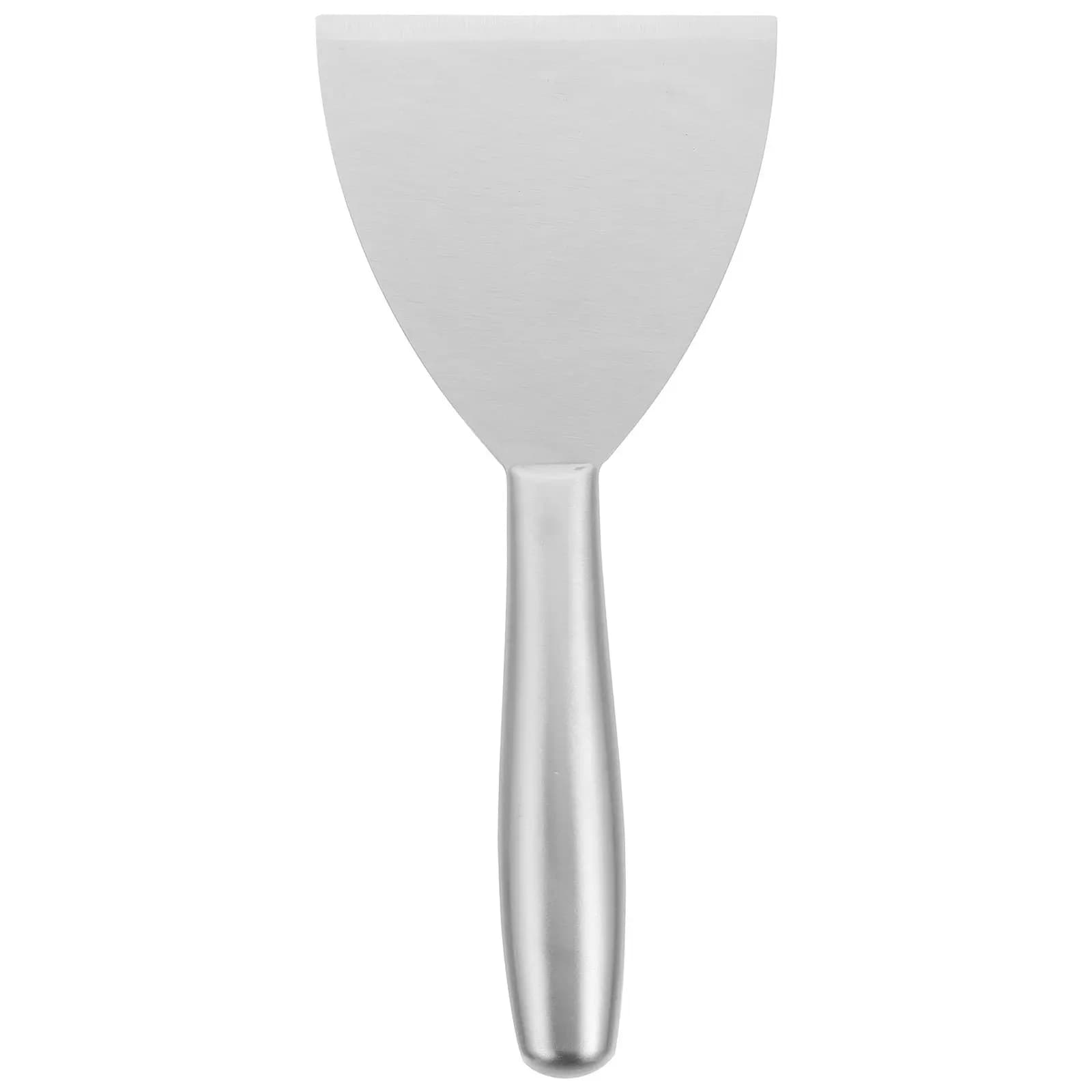 Multipurpose Stainless Steel Professional Scraper, Cooking, Paint and Hanging Residuals, for Home Cleaning