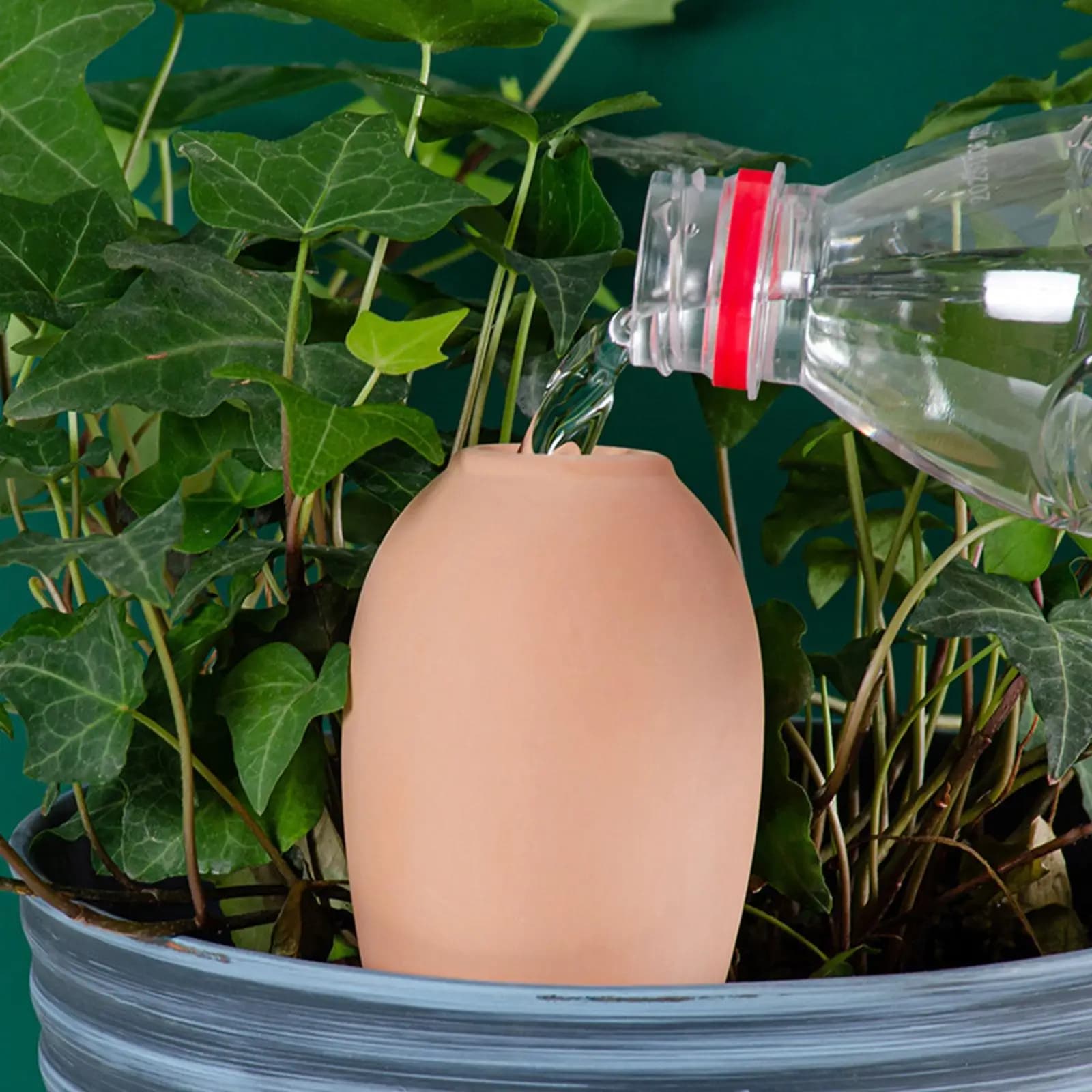 Self Watering Pot Inserts Automatic Drip Device Ceramic Flower Water Dispenser for Indoor Houseplant Care