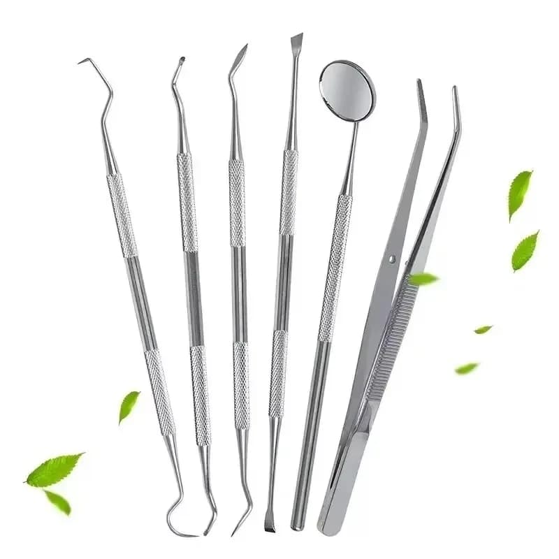 Stainless Steel Dentali Tool Kit for Oral Cleaning, Tartarus Removal, Easy to Clean, Resistant, Oral Care Dental Mirror