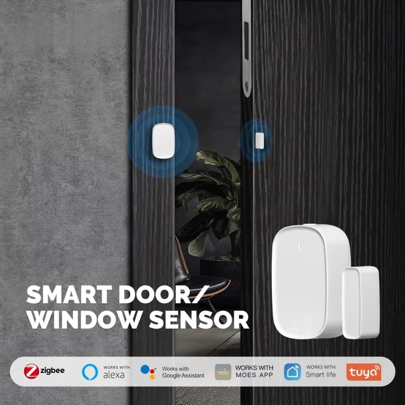 Sensore per Porte e Finestre Tuya Wifi, Allarme Antifurto, Sensore Magnetico per Porte Compatibile con Smart Life, Alexa e Google Home