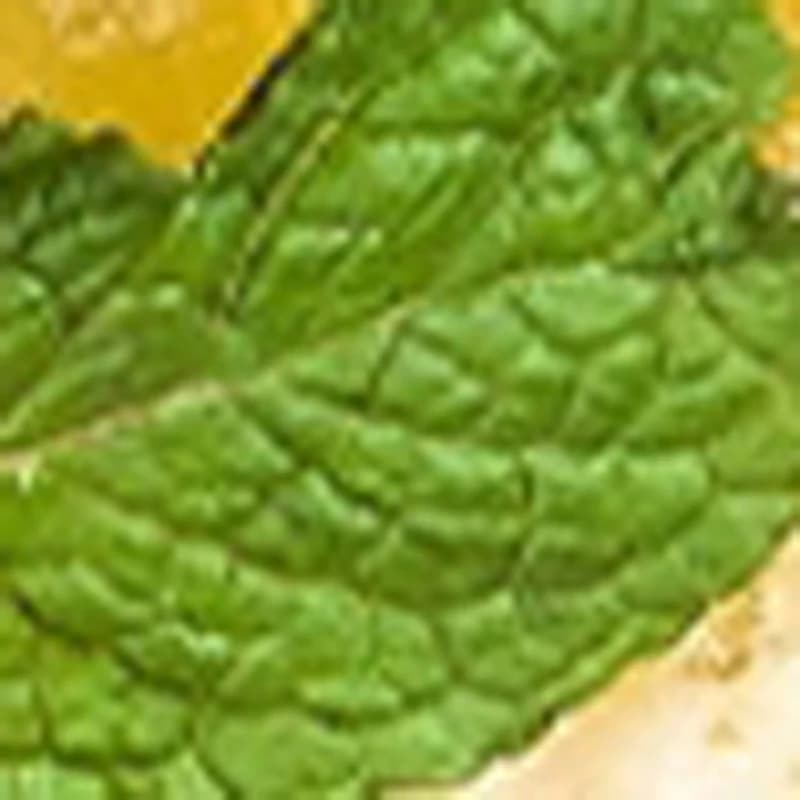 Frullatore Professionale da 2600W con Isolamento Acustico, Processore di Alimenti, Macchina per Frullati Silenziosa, Estrattore di Succo, Mixer per Alimenti