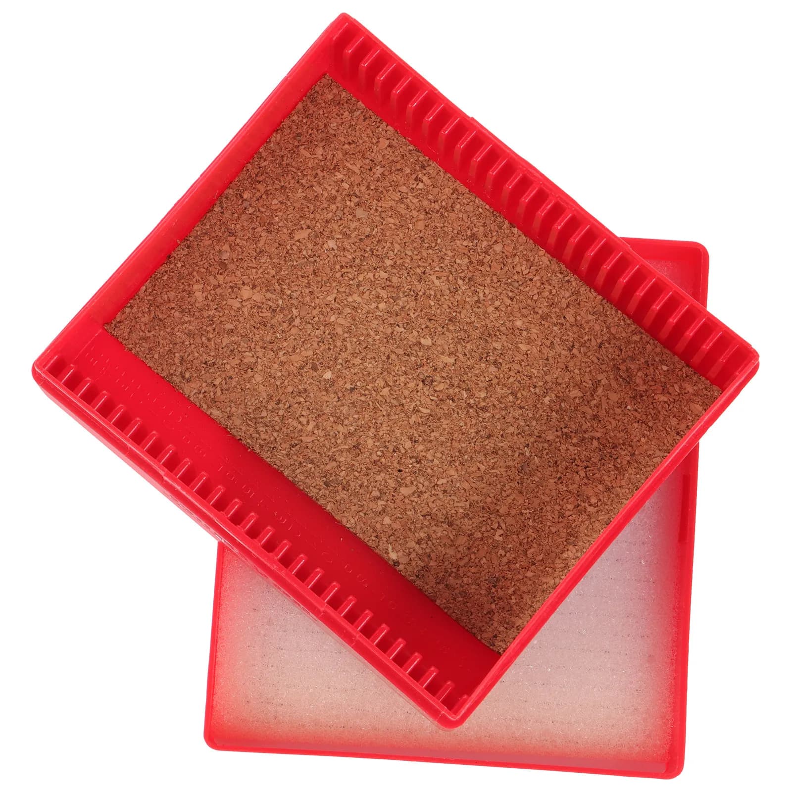 Scatola di Stoccaggio Riutilizzabile per Vetrini Microscopici, Contenitore per Campioni di Laboratorio, Organizzatore Sigillato per Vetrini Microscopici