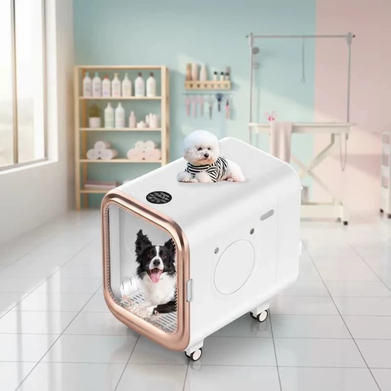 Asciugatore per animali domestici in plastica ecologica per cani e gatti - box per toelettatura silenzioso con controllo della temperatura e timer