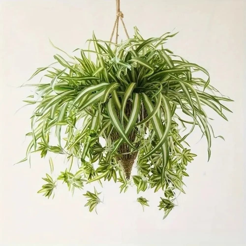 New Decorative Artificial Plants, Simulate Turtle leaves, Green Plant to Hang on Wall, Chlorophytum Style, Fin Plants for Garden